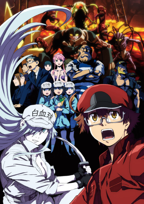 Hataraku Saibou Black (TV)